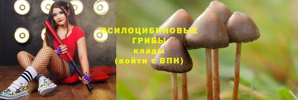 ALPHA-PVP Арсеньев