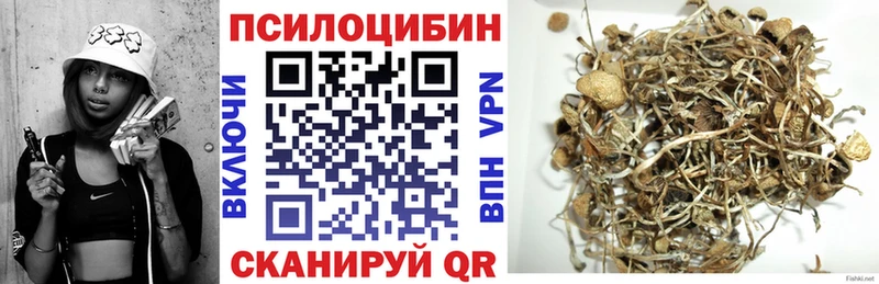 Галлюциногенные грибы мицелий  Валдай 